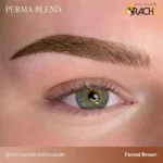 پیگمنت آرایش دائم قهوه‌ای متعادل Forest Brown پرما بلند 15 میل 1
